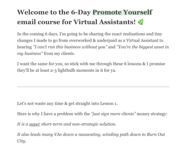 Va Email Free VA Email Course | The Digital Business Manager Bootcamp